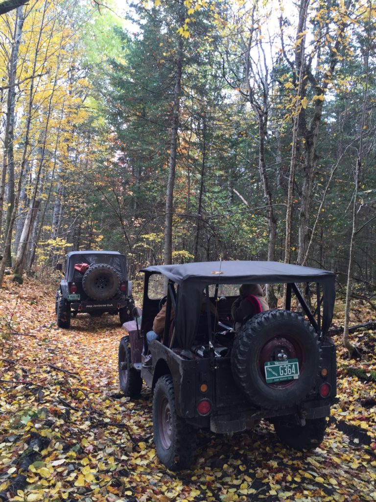 Jeeps in the woods